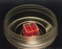 细胞划痕实验试剂盒