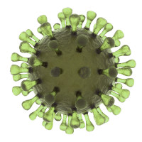 悬浮细胞专用腺病毒