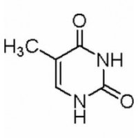 胸腺嘧啶，高纯，99%