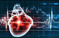 【心肌特异性】腺相关病毒(AAV)试用装申请-申领方式在下方