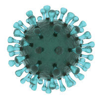 动物体内基因功能研究神器！