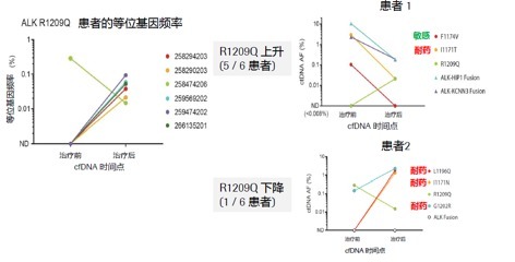 图片 4.png