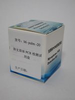 肺支原体PCR检测试剂盒