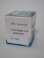 羊附红细胞体PCR检测试剂盒