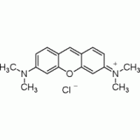 派洛宁Y ,Dye content≥50%