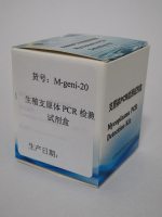 生殖支原体PCR检测试剂盒