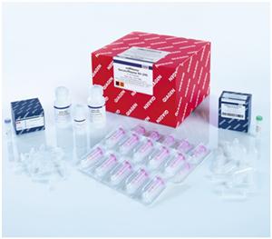 QIAGEN miRNeasy Serum/Plasma Kit (50) 血清/血浆miRNA和总RNA纯化试剂盒 (50)