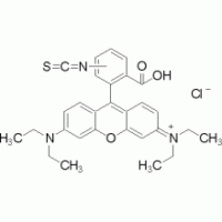 异硫氰酸罗丹明B ,偶联级,70%