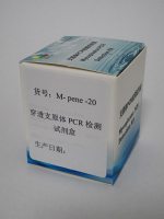 穿透支原体PCR检测试剂盒