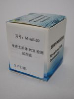 唾液支原体PCR检测试剂盒