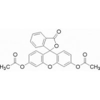 二乙酸萤光素,ACS