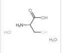 L-半胱氨酸盐酸盐一水物 CAS#:7048-04-6