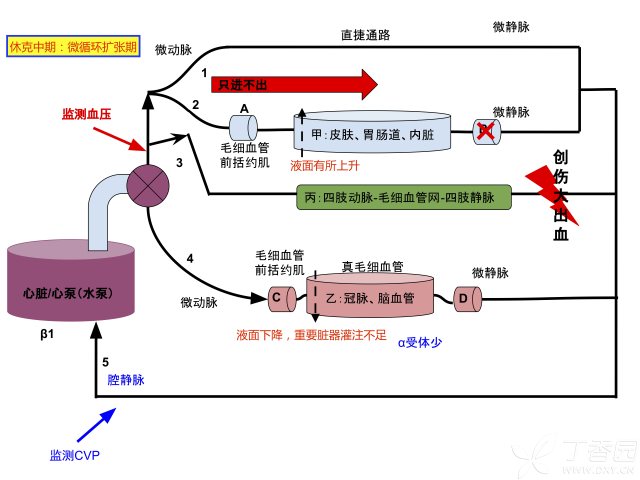 治疗原理是什么意思_根管治疗是什么意思