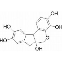 苏木素 分析标准品,HPLC≥98%