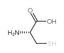 L-半胱氨酸 CAS#:52-90-4