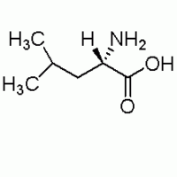 L-亮氨酸 99%