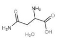 L-天冬酰胺一水 CAS#:5794-13-8