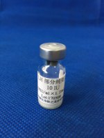 人促黄体生成激素（LH）