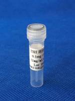 人促甲状腺激素（TSH）粗品