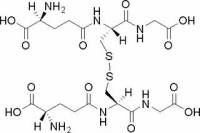 L-氧化型谷胱甘肽