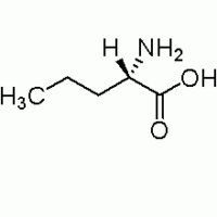 L-正缬氨酸 ,99%