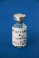  兔抗hCG抗体