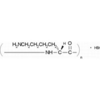 多聚右旋赖氨酸分子量15～30万