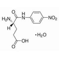 γ-L-谷氨酰对硝基苯胺一水合物,BR,98%