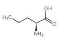 DL-正缬氨酸 CAS#:760-78-1 