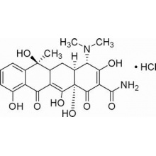 盐酸四环素,USP级,900ug/mg