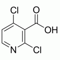 2,4-二氯烟酸，97%