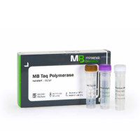 MB Taq DNA热启动聚合酶