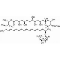 两性霉素B，USP级，750mcg/g