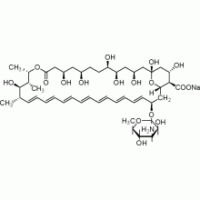 两性霉素B USP级，750mcg/g