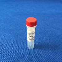 CA199单克隆抗体