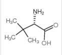 L-叔亮氨酸 CAS#:20859-02-3