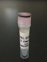 垂体泌乳素（PRL）（重组）