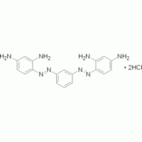 俾斯麦棕Y ,Biological stain