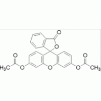 二乙酸荧光素 ,97%
