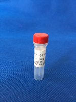 CA15-3单克隆抗体