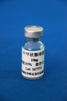 牛甲状腺球蛋白（BTG）