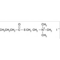 S-碘化丁酰硫代胆碱 98%