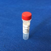 抗HCG-α单克隆抗体(包被)