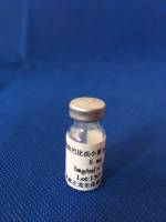 兔抗小鼠IgG免疫血清