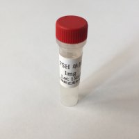  鼠抗促卵泡生成激素(FSH)单克隆抗体