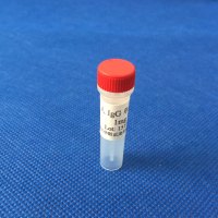 鼠抗人免疫球蛋白IgG单克隆抗体