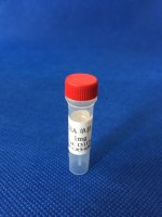 鼠抗癌胚抗原（CEA）单克隆抗体