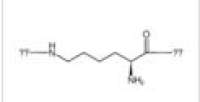 ε-聚赖氨酸 CAS#:28211-04-3