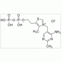 焦磷酸硫胺素 ,98%