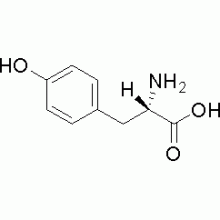 L-酪氨酸 ,99%